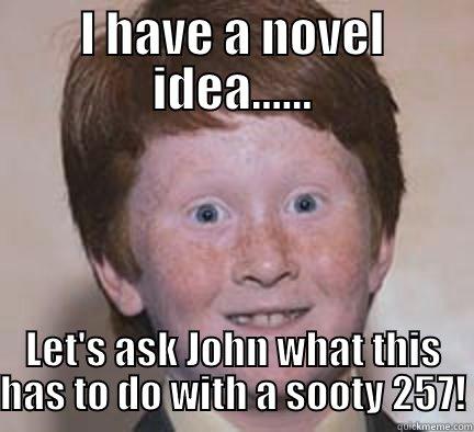 John's 257 - I HAVE A NOVEL IDEA...... LET'S ASK JOHN WHAT THIS HAS TO DO WITH A SOOTY 257! Over Confident Ginger