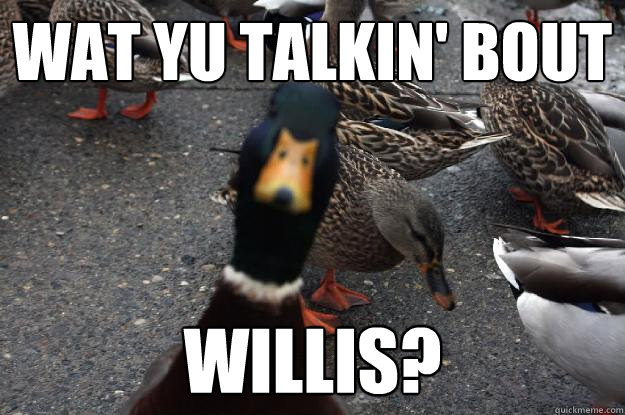 WAT YU TALKIN' BOUT WILLIS?  In yo face Duck