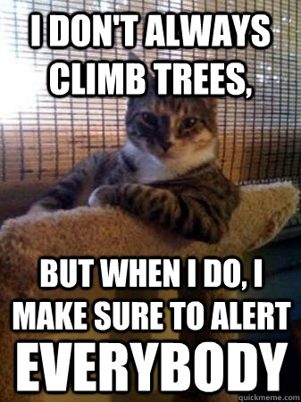 I don't always climb trees, but when I do, i make sure to alert everybody - I don't always climb trees, but when I do, i make sure to alert everybody  The Most Interesting Cat in the World