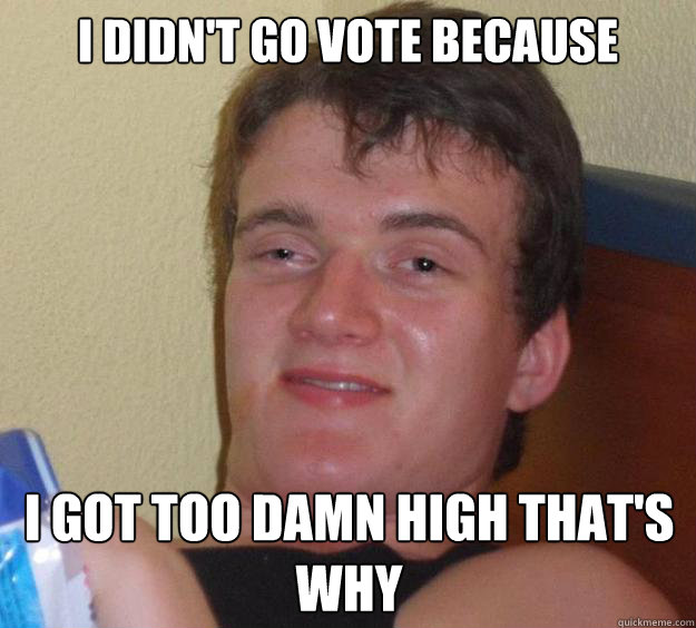 i didn't go vote because i got too damn high that's why  10 Guy