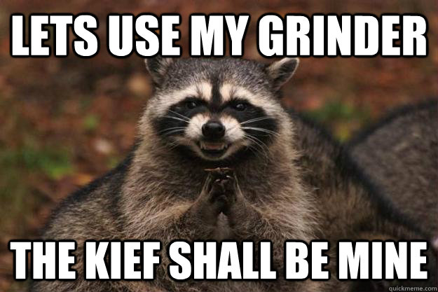 lets use my grinder The kief shall be mine  Evil Plotting Raccoon