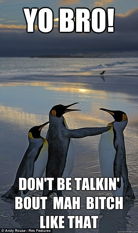 Yo Br0! Don't be talkin' bout  mah  bitch like that - Yo Br0! Don't be talkin' bout  mah  bitch like that  Fighting penguins