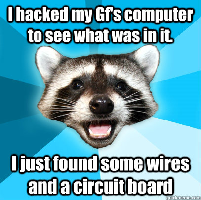 I hacked my Gf's computer to see what was in it. I just found some wires and a circuit board   Lame Pun Coon