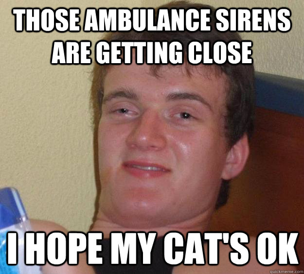 Those ambulance sirens are getting close I hope my cat's OK  10 Guy