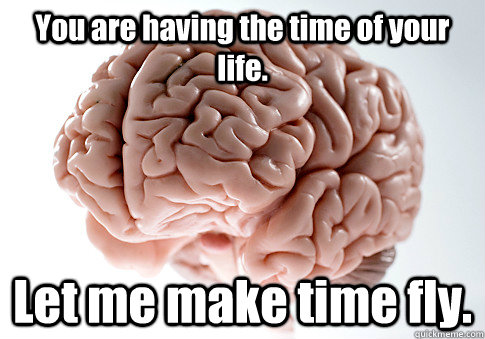 You are having the time of your life. Let me make time fly.  Scumbag Brain