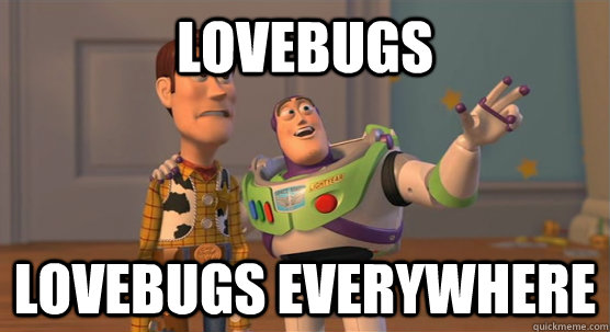 Lovebugs Lovebugs everywhere  Toy Story Everywhere