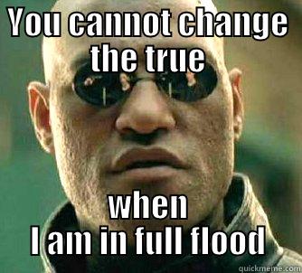 I am a river - YOU CANNOT CHANGE THE TRUE WHEN I AM IN FULL FLOOD Matrix Morpheus