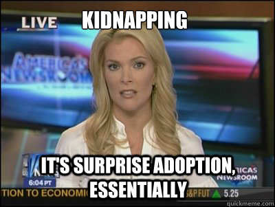 Kidnapping it's surprise adoption, essentially  Megyn Kelly