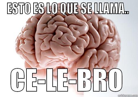 ESTO ES LO QUE SE LLAMA.. CE-LE-BRO Scumbag Brain