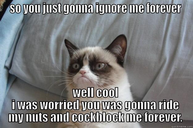 SO YOU JUST GONNA IGNORE ME FOREVER WELL COOL I WAS WORRIED YOU WAS GONNA RIDE MY NUTS AND COCKBLOCK ME FOREVER. Grumpy Cat