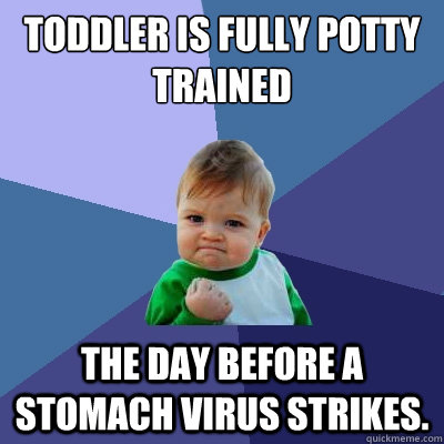 Toddler is fully potty trained the day before a stomach virus strikes.  Success Kid