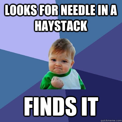 Looks for needle in a haystack finds it - Looks for needle in a haystack finds it  Success Kid