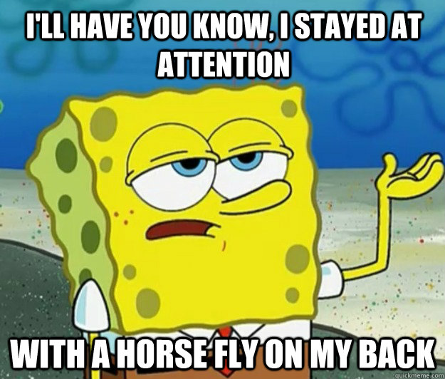 I'll have you know, I stayed at attention with a horse fly on my back  Tough Spongebob