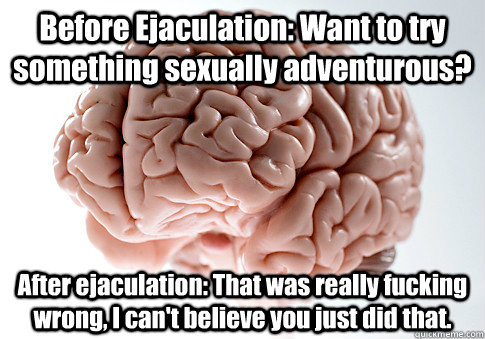 Before Ejaculation: Want to try something sexually adventurous? After ejaculation: That was really fucking wrong, I can't believe you just did that. - Before Ejaculation: Want to try something sexually adventurous? After ejaculation: That was really fucking wrong, I can't believe you just did that.  Scumbag Brain