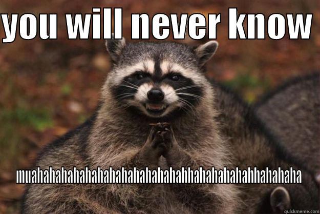 YOU WILL NEVER KNOW  MUAHAHAHAHAHAHAHAHAHAHAHAHAHHAHAHAHAHAHHAHAHAHA Evil Plotting Raccoon