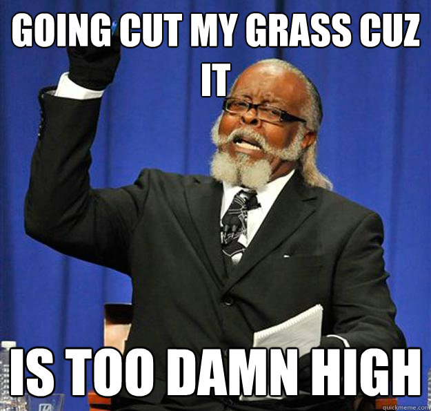 going cut my grass cuz it Is too damn high  Jimmy McMillan