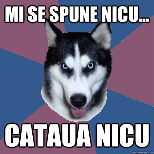 Mi se spune Nicu... Cataua nicu  Creeper Canine