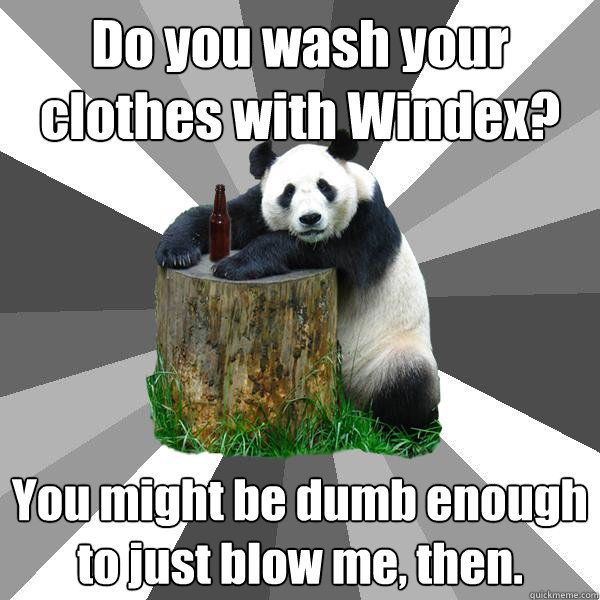 Do you wash your clothes with Windex? You might be dumb enough to just blow me, then.  Pickup-Line Panda