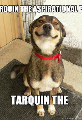 Tarquin the aspirational fly Tarquin the aspirational fly  Good Dog Greg