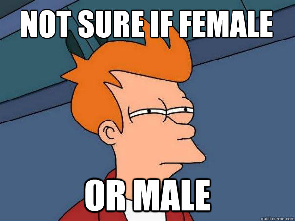 not sure if female or male - not sure if female or male  Futurama Fry