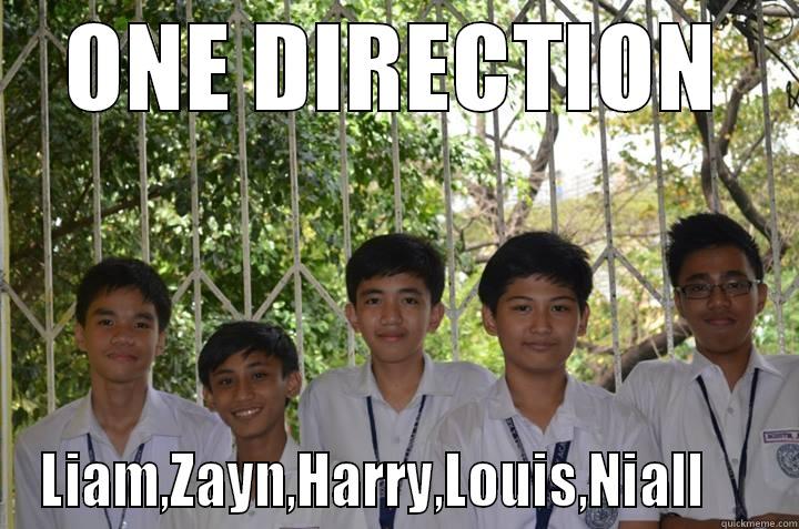 ONE DIRECTION LIAM,ZAYN,HARRY,LOUIS,NIALL     Misc