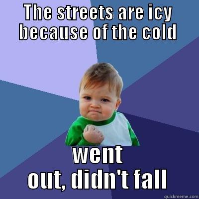 THE STREETS ARE ICY BECAUSE OF THE COLD WENT OUT, DIDN'T FALL Success Kid