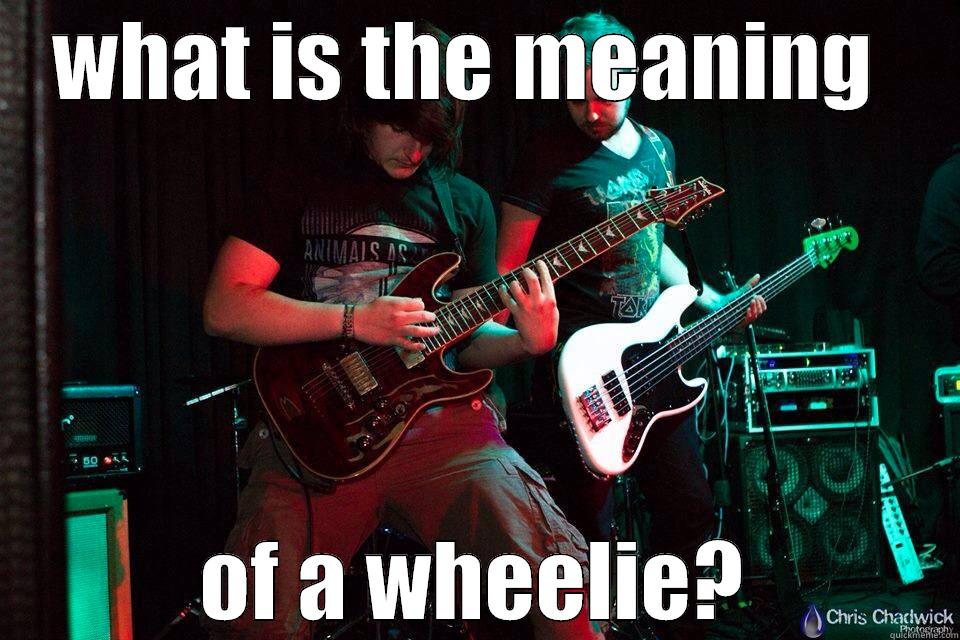 WHAT IS THE MEANING  OF A WHEELIE? Misc