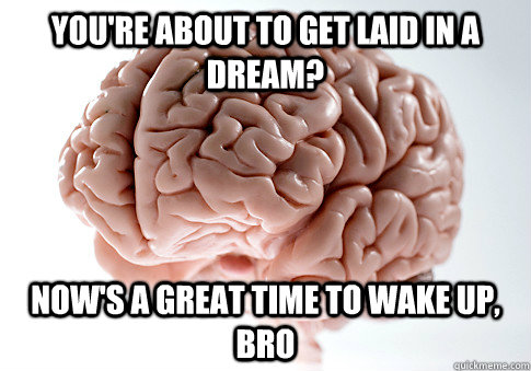 You're about to get laid in a dream? Now's a great time to wake up, bro - You're about to get laid in a dream? Now's a great time to wake up, bro  Scumbag Brain