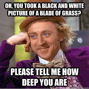 Oh, you took a black and white picture of a blade of grass? Please tell me how deep you are  Creepy Wonka