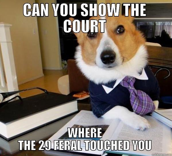 CAN YOU SHOW THE COURT WHERE THE 29 FERAL TOUCHED YOU Lawyer Dog