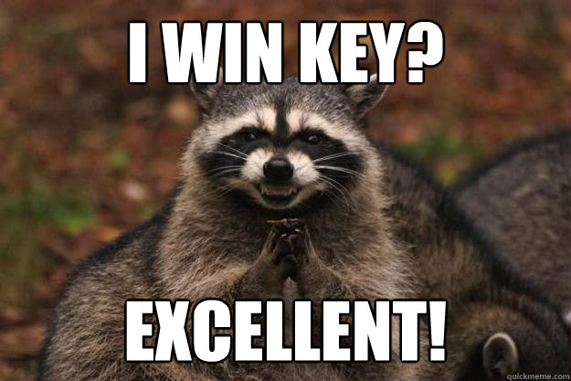 I win key? excellent!  Evil Plotting Raccoon