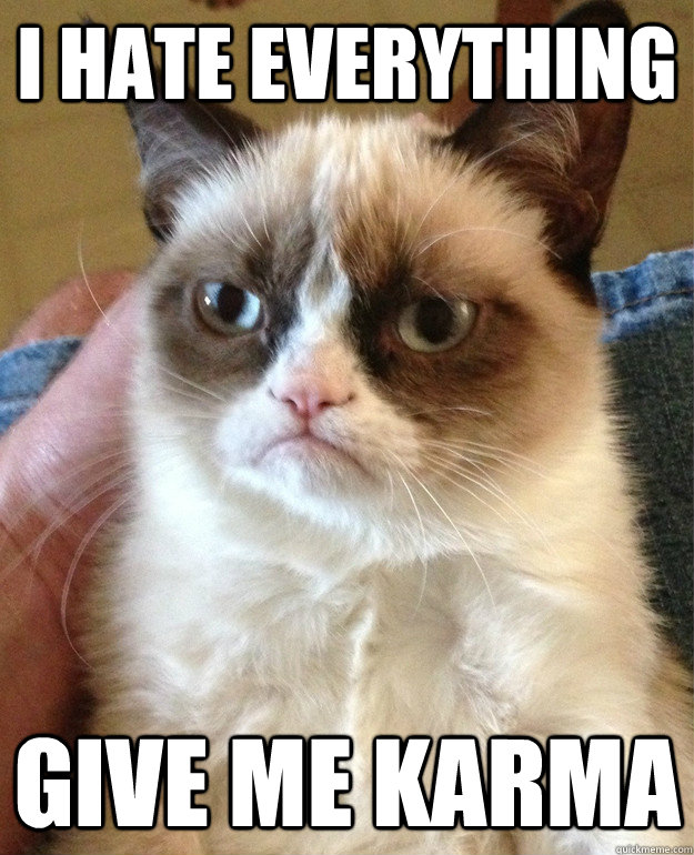 I hate everything give me karma  Grumpy Cat