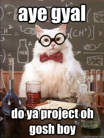 aye gyal do ya project oh gosh boy  Chemistry Cat