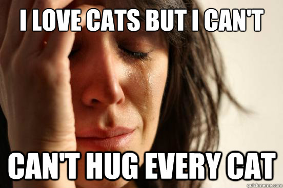 i love cats but i can't can't hug every cat - i love cats but i can't can't hug every cat  First World Problems