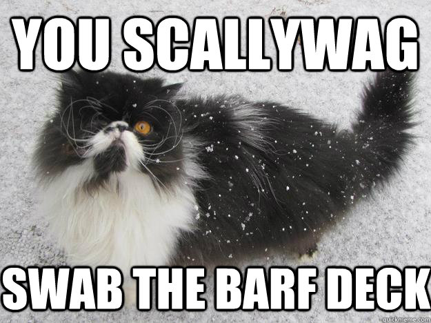 you scallywag swab the barf deck - you scallywag swab the barf deck  pirate cat