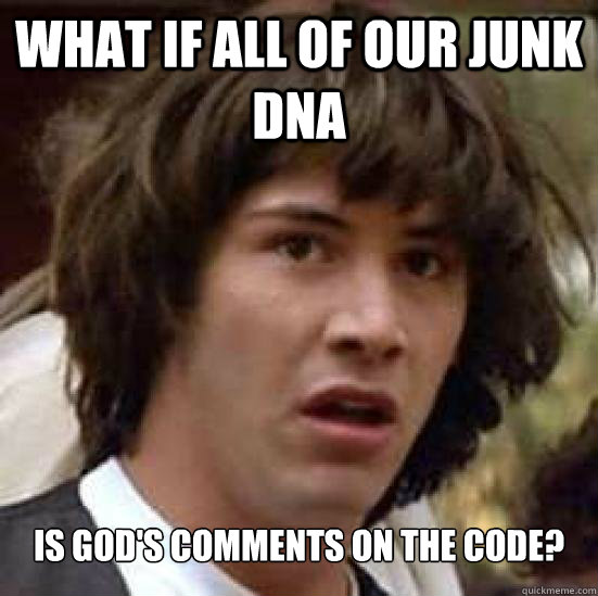 What if all of our junk DNA Is god's comments on the code? - What if all of our junk DNA Is god's comments on the code?  Conspiracy Keanu Snow