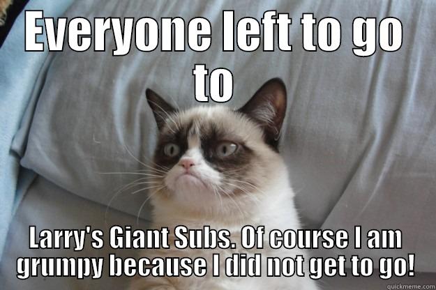 grumpy...yes of course I am - EVERYONE LEFT TO GO TO LARRY'S GIANT SUBS. OF COURSE I AM GRUMPY BECAUSE I DID NOT GET TO GO! Grumpy Cat