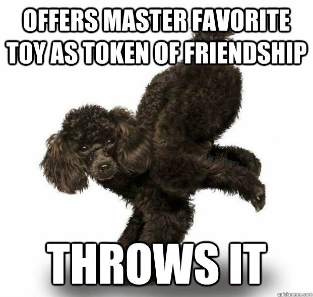 Offers Master favorite toy as token of friendship throws it  
