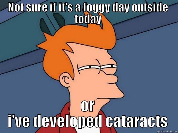 Aging Fry - NOT SURE IF IT'S A FOGGY DAY OUTSIDE TODAY OR I'VE DEVELOPED CATARACTS Futurama Fry