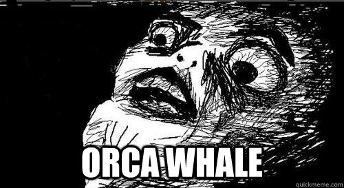  ORCA WHALE  Gasp