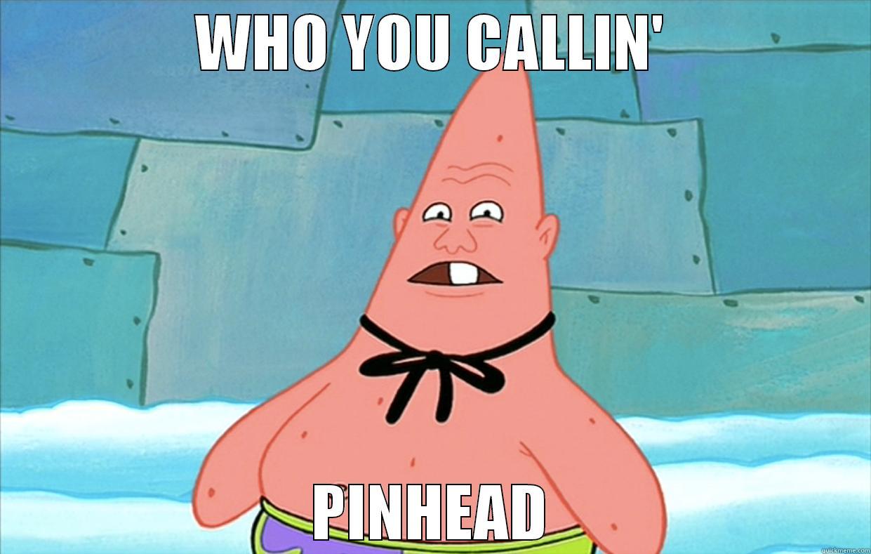 who you callin' pinhead - WHO YOU CALLIN' PINHEAD Misc