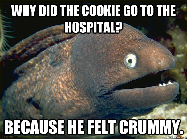 Why did the cookie go to the hospital? Because he felt crummy.  Bad Joke Eel