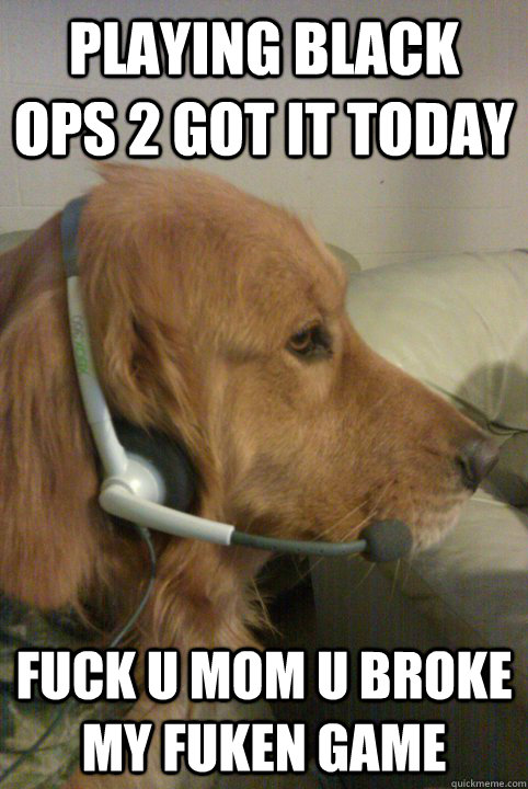 482px x 720px - Xbox Live Dog memes | quickmeme