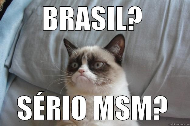 BRASIL? SÉRIO MSM? Grumpy Cat