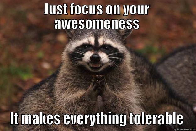 JUST FOCUS ON YOUR AWESOMENESS IT MAKES EVERYTHING TOLERABLE Evil Plotting Raccoon