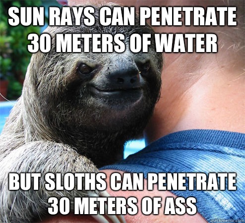 Sun rays can penetrate 30 meters of water But sloths can penetrate 30 meters of ass  Suspiciously Evil Sloth