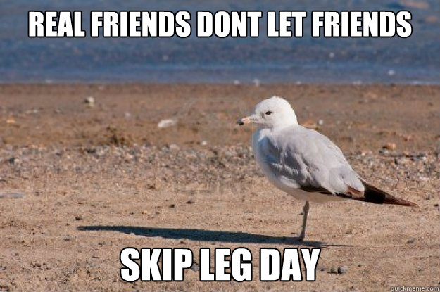 Real friends dont let friends skip leg day - Real friends dont let friends skip leg day  Misc