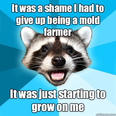 It was a shame I had to give up being a mold farmer It was just starting to grow on me  Lame Pun Coon