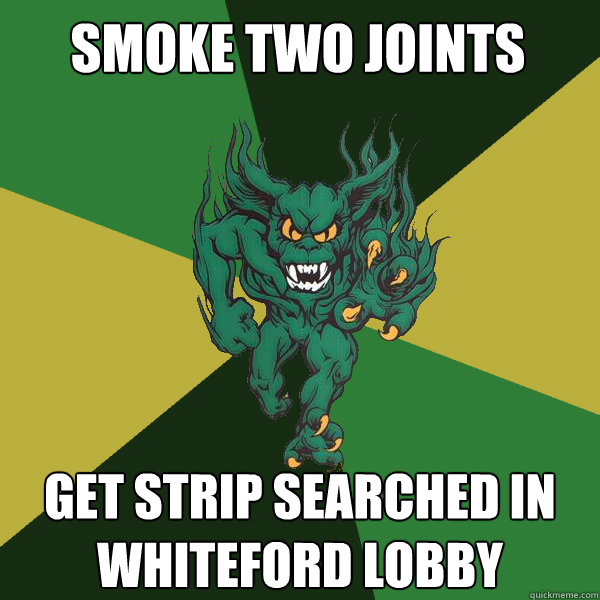 smoke two joints get strip searched in whiteford lobby - smoke two joints get strip searched in whiteford lobby  Green Terror