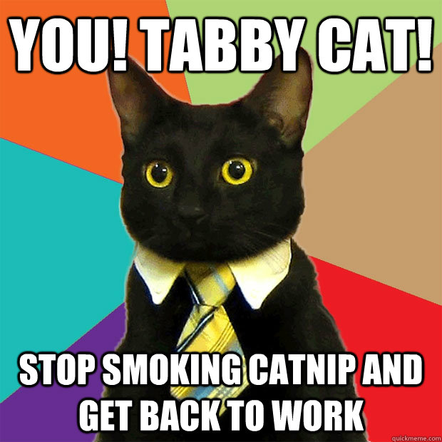 You! Tabby Cat! Stop smoking catnip AND GET BACK TO WORK  Business Cat